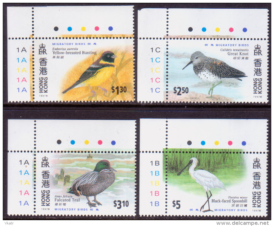 HONG KONG 1997 SG #884-87 Compl.set MNH Migratory Birds Corner Margins - Ungebraucht