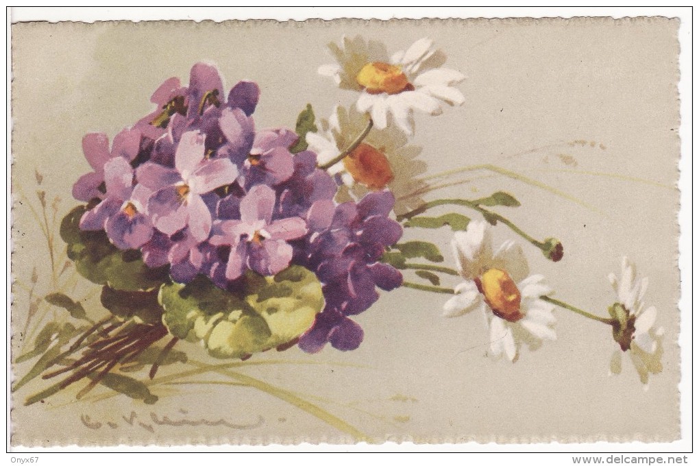 Carte Postale Fantaisie C.KLEIN -Bouquet De VIOLETTE Et MARGUERITE - FLEUR  - Illustrateur - VOIR 2 SCANS - - Klein, Catharina