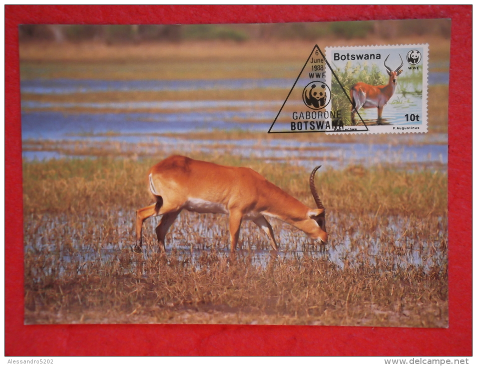 Botswana Serie World Animals Widelife Fund With 1988 Nice Stamp - Botswana