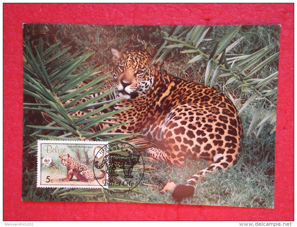 Belize Serie World Animals Widelife Fund 1983 Nice Stamp - Belice