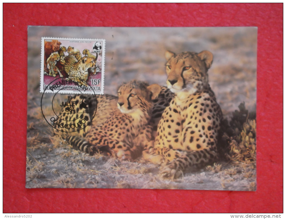 Burkina Faso Haute Volta Serie World Animals Widelife Fund 1984 Nice Stamp - Burkina Faso