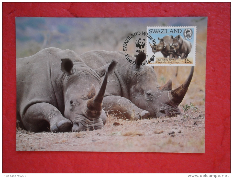 Swaziland Serie World Animals Widelife Fund 1987 Nice Stamp - Swazilandia