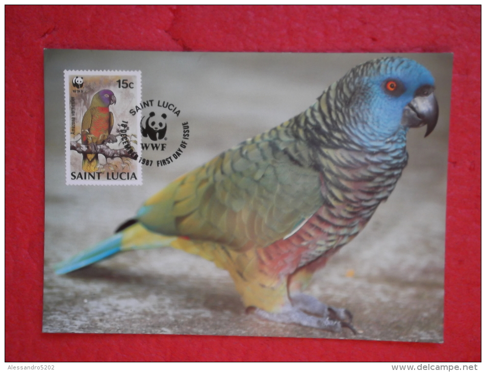 Saint Lucia Serie World Animals Widelife Fund 1987 Nice Stamp - Sainte-Lucie