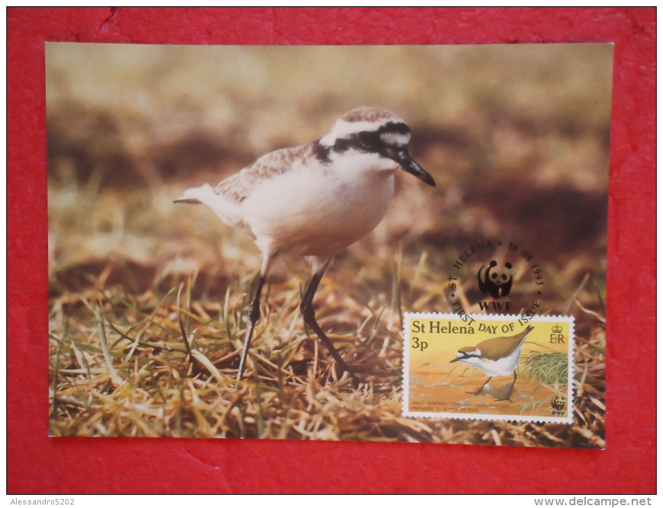 St. Helena Serie World Animals Widelife Fund 1993 Nice Stamp - Saint Helena Island