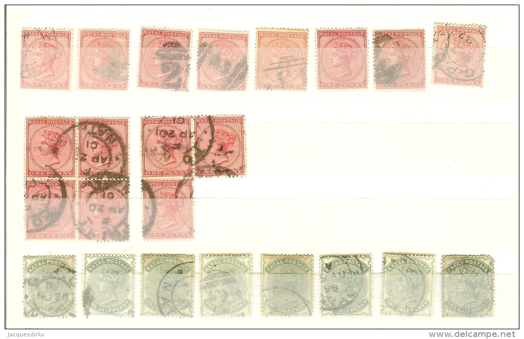 Natal                Partijtje  Zegels  /  Lot Of Stamps       O - Natal (1857-1909)