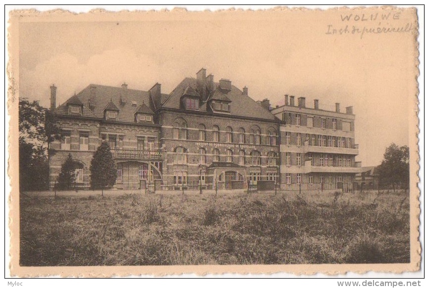 Woluwé-St-Pierre. Institut De Puériculture De Bruxelles. Avenue Du Chant D'Oiseau. - Woluwe-St-Pierre - St-Pieters-Woluwe