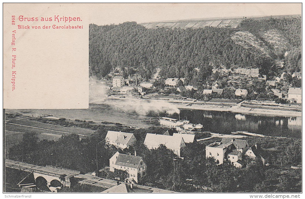 AK Krippen Blick Carolabastei Eisenbahn Bahnhof ? Bei Bad Schandau Postelwitz Kleinhennersdorf Krippenberg Cunnersdorf - Gohrisch