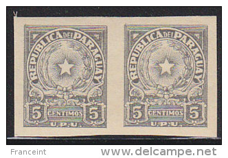 Paraguay 1946 Coat Of Arms 5c Gray Imperforate Pair. Scott 430. MVLH. - Paraguay