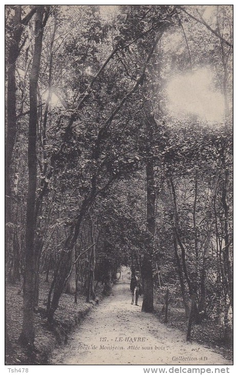 76----LE HAVRE---la Foret De Montjeon  Allée Sous Bois--voir 2 Scans - Forêt De Montgeon