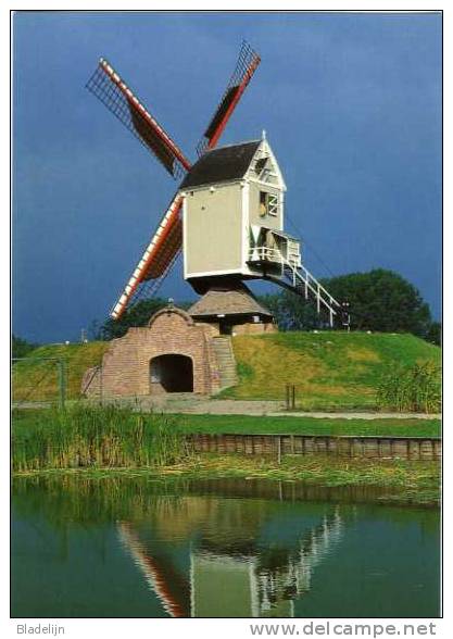 GEEL-TEN AARD (Antw.) - Molen/moulin - De Molen Van 't Veld, Overgebracht Uit Geel-Elsum In 1993 Op Zijn Nieuwe Locatie. - Geel