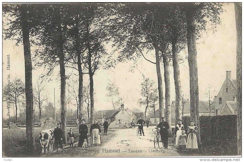 Hamont    Entrée Hamont - Loozen - Limburg.  1900  Naar  Willebroeck - Hamont-Achel