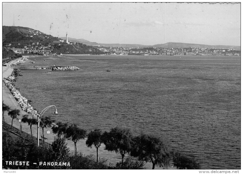 TRIESTE   PANORAMA    2 SCAN    (VIAGGIATA) - Trieste