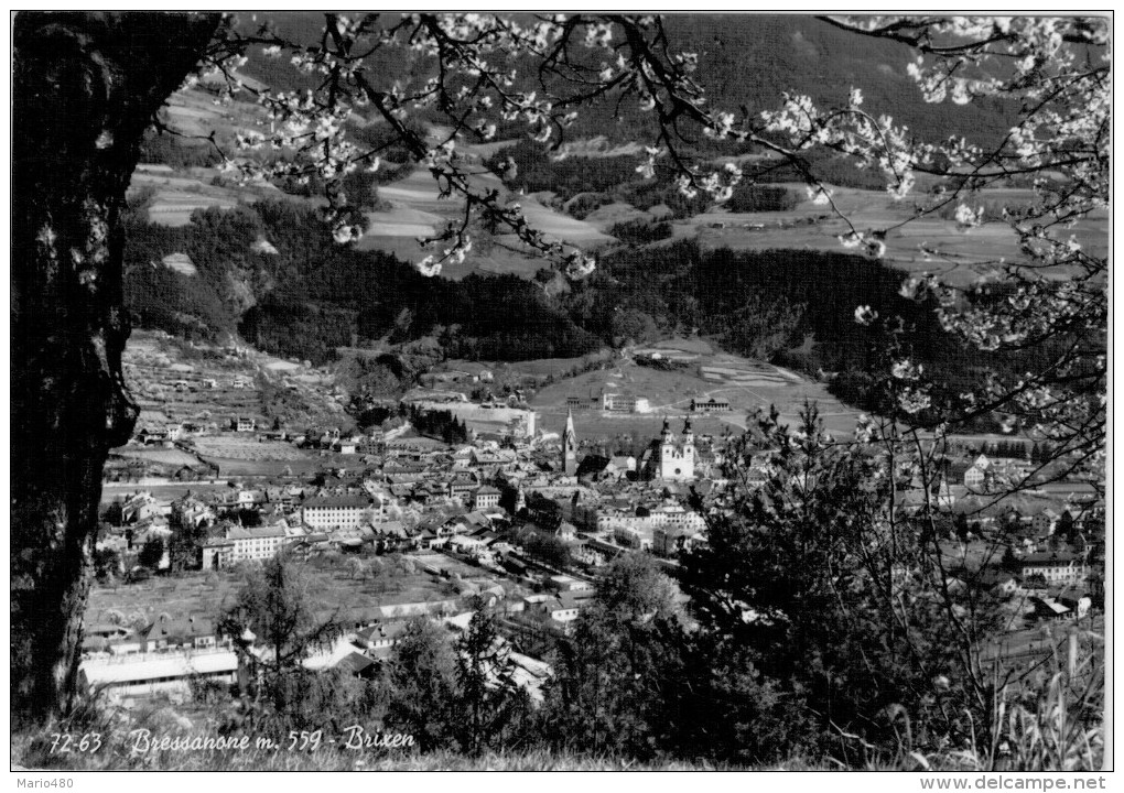 BRESSANONE  BRIXEN   PANORAMA   2 SCAN    (VIAGGIATA) - Altri & Non Classificati