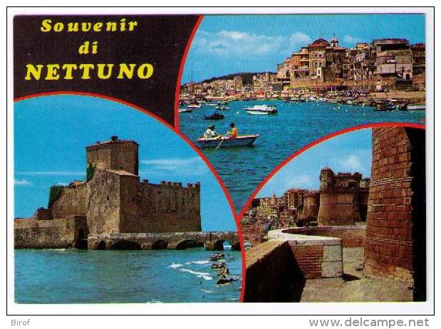 SOUVENIR DI NETTUNO   (ROMA) - Collections & Lots