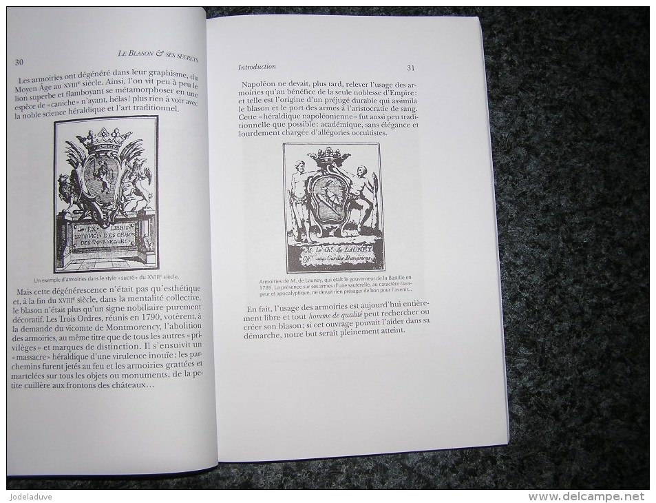 LE BLASON ET SES SECRETS Retrouver Créer ses Armoiries Luz F Art Héraldique Héraldisme Ecu Blason Armes Armoirie Emblème