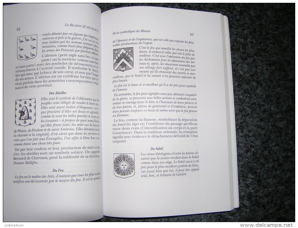 LE BLASON ET SES SECRETS Retrouver Créer ses Armoiries Luz F Art Héraldique Héraldisme Ecu Blason Armes Armoirie Emblème