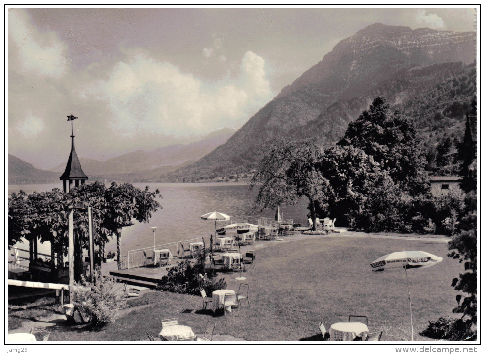 Zwitserland/Der Schweisz, Immensee Am Zugersee, See-Hotel Rigi, 1964 - Andere & Zonder Classificatie