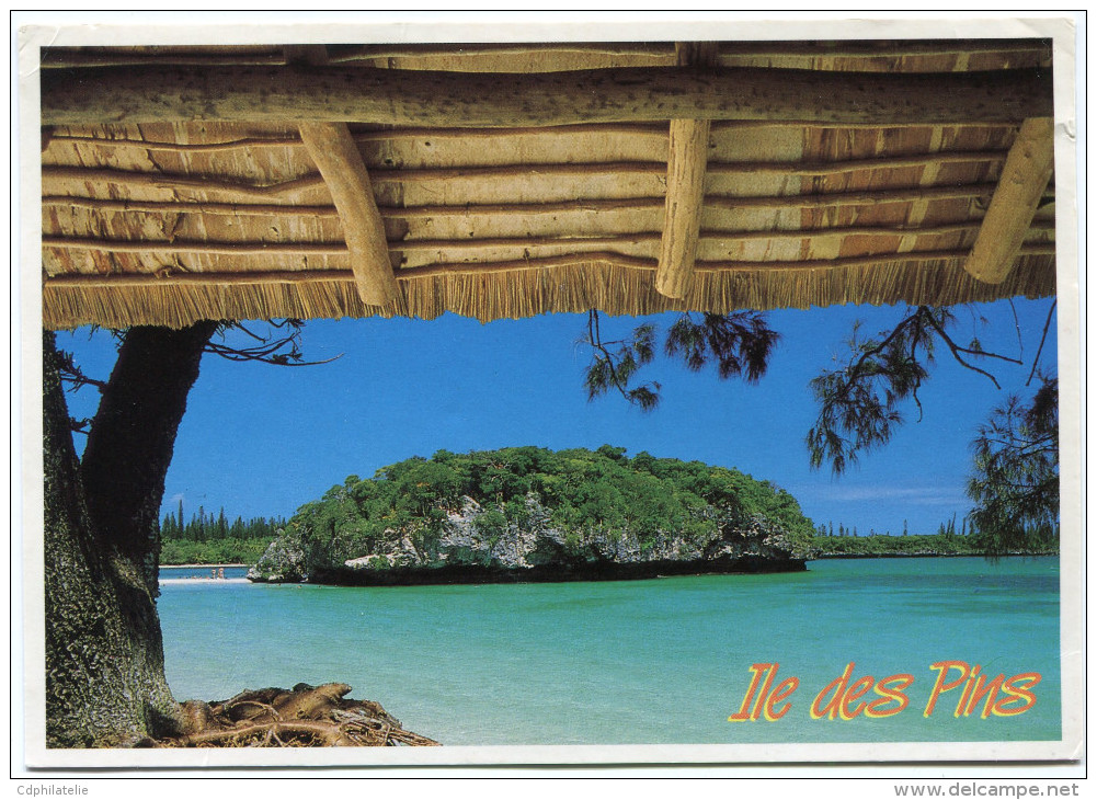 NOUVELLE-CALEDONIE CARTE POSTALE DEPART MONT DORE AN. 1  21-7-1992 POUR LA FRANCE - Cartas & Documentos