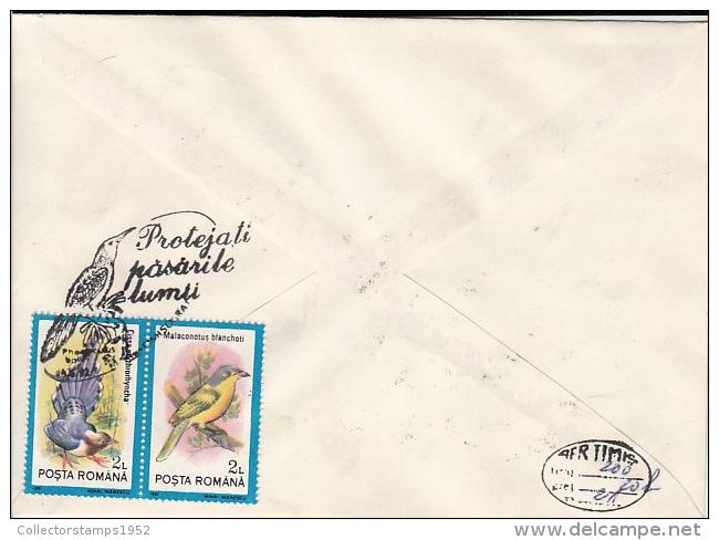 34475- WHITE HEADED WOOD HOOPOE, BIRDS, SPECIAL COVER, 1992, ROMANIA - Specht- & Bartvögel