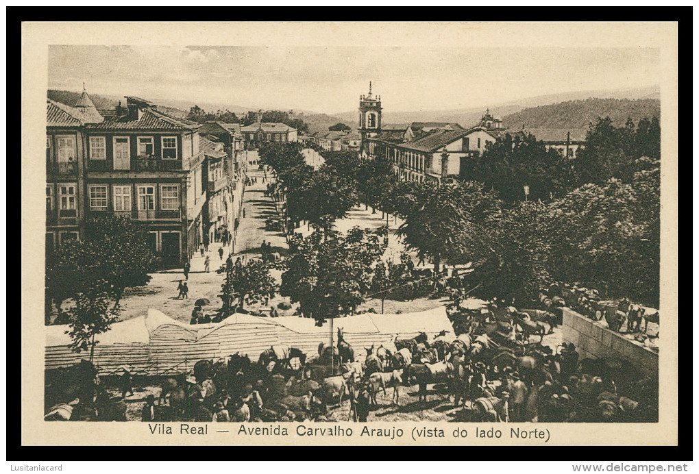 VILA REAL - FEIRAS E MERCADOS - Avenida Carvalho Araujo -vista Do Lado Norte (Ed. Miguel Monteiro) Carte Postale - Vila Real