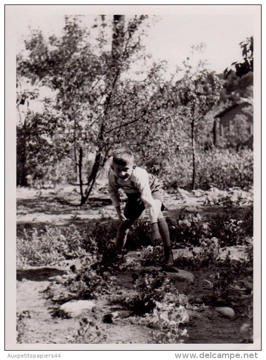 Photo Originale Enfant - Portrait D'un Jeune Garçon En 1938 - - Personnes Identifiées