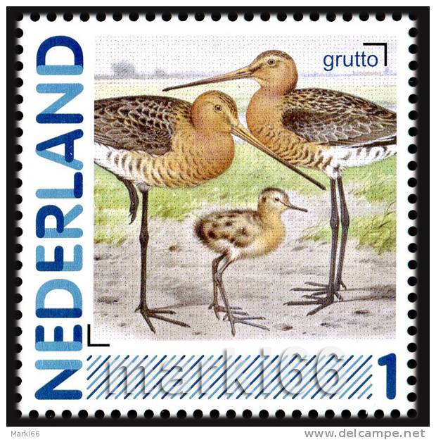 Netherlands - 2011 - Personalized Stamp - Netherlands Birds, Black-tailed Godwit - Mint Personalized Stamp - Neufs