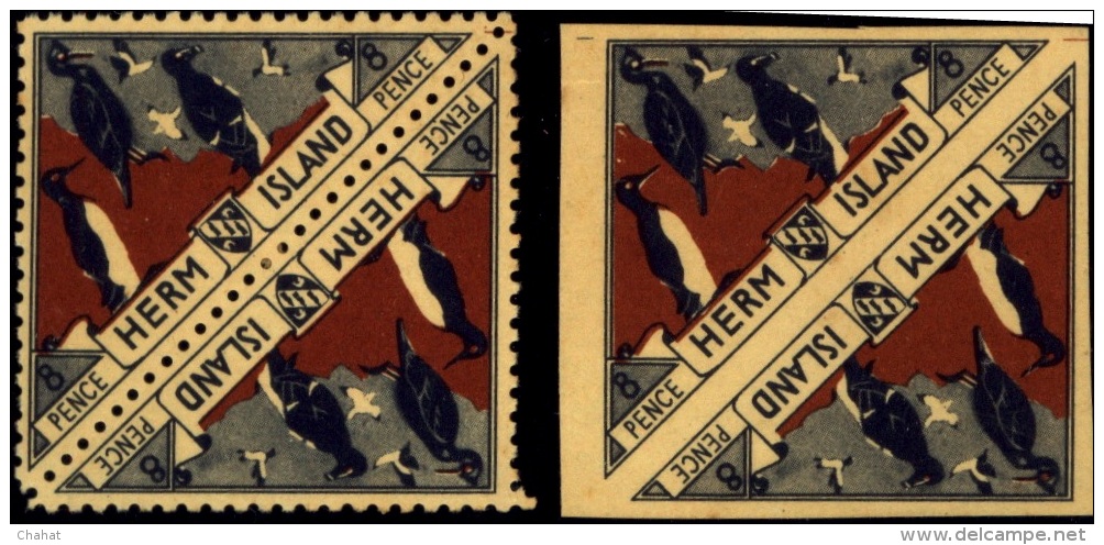 BIRDS-GUILLEMOTS-MARINE WEB FOOTED BIRDS-PERF & IMPERF-ODD SHAPED-HERM ISLANDS-MNH-B3-524 - Albatros & Stormvogels