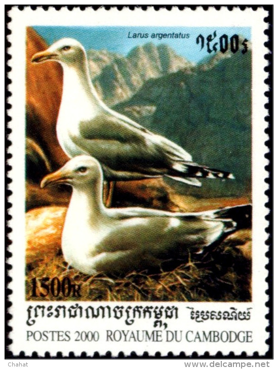 BIRDS-ALBATROSS-BLUE FOOTED BOOBY & OTHERS-CAMBODIA-2002-FULL SET-MNH-B3-525 - Albatros & Stormvogels
