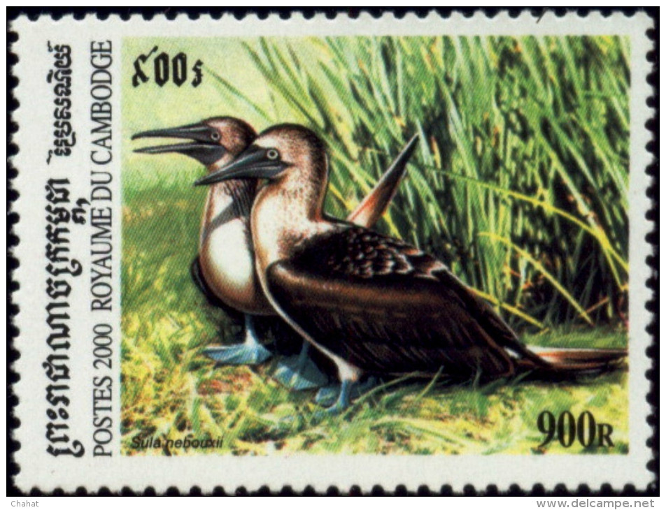 BIRDS-ALBATROSS-BLUE FOOTED BOOBY & OTHERS-CAMBODIA-2002-FULL SET-MNH-B3-525 - Albatros & Stormvogels