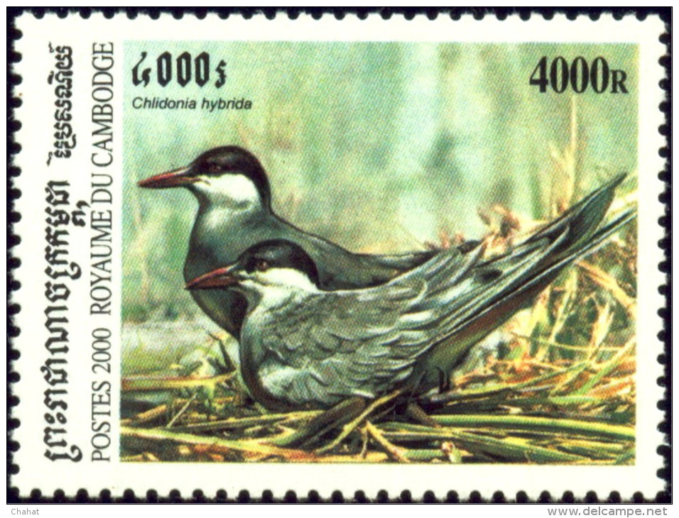 BIRDS-ALBATROSS-BLUE FOOTED BOOBY & OTHERS-CAMBODIA-2002-FULL SET-MNH-B3-525 - Albatros & Stormvogels