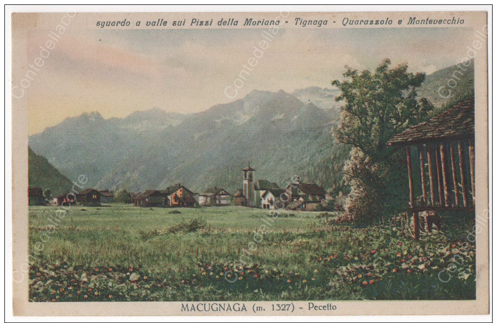 MACUGNAGA (m. 1327) - PECETTO (Sguardo A Valle Sui Pizzi Della Moriana, Tignana, Quarazzolo E Montevecchio NON VIAGGIATA - Verbania