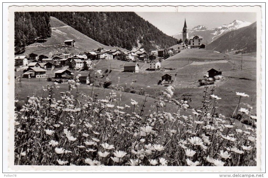 SCHMITTEN IM ALBULATAL - MIT LEIDBACHHORN UND AELPLIHORN - GRIGIONI - 1956 - Formato Piccolo - Schmitten