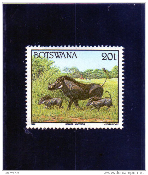 1992 Botswana - Facocero - Botswana (1966-...)