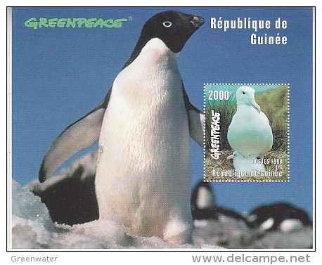 Greenpeace 1998 République De Guinée Albatros/Penguin M/s ** Mnh (26746A) - Albatrosse & Sturmvögel