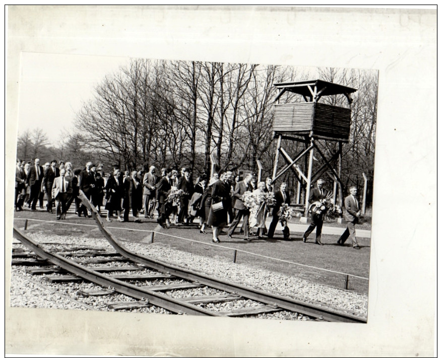 Original Press Photo Juliana1985 Herdenking Westerbork 22 X 15 Cm (157) - Guerre, Militaire