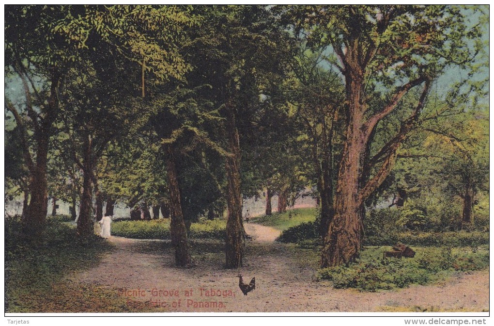 POSTAL DE PANAMA DE PICNIC AT TABOGA  ( I.L. MADURO) - Panamá