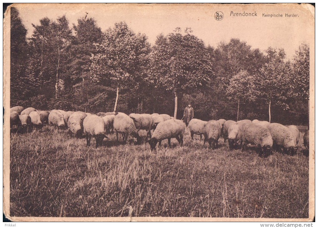 Arendonk Arendonck Kempische Herder ( Schaap Schapen Schaapsherder ) Reclame Op Keerzijde: Hotel De Kempen - Arendonk