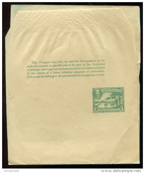 D189 - BRITISH GUIANA 1930s Postal Wrapper. Unused - Guyana Britannica (...-1966)