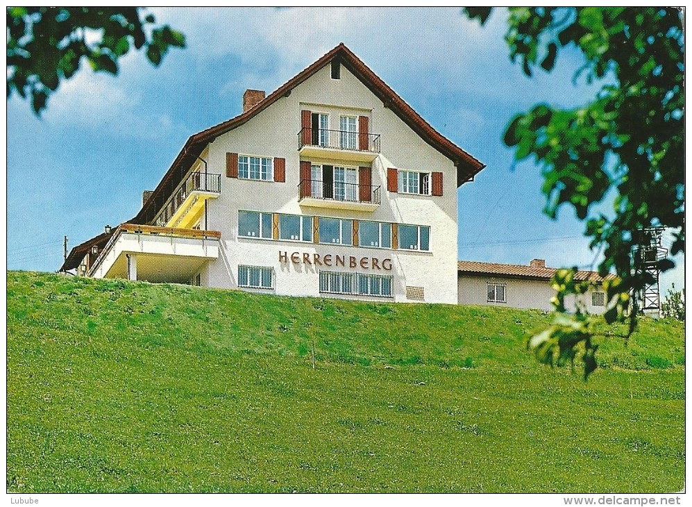 Bergdietikon - Gasthof Herrenberg             Ca. 1980 - Dietikon