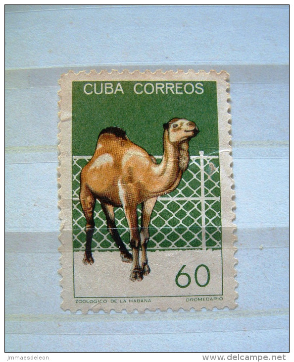 Cuba 1964 - Camel - Michel # 903 = 4.60 Euros - Used Stamps