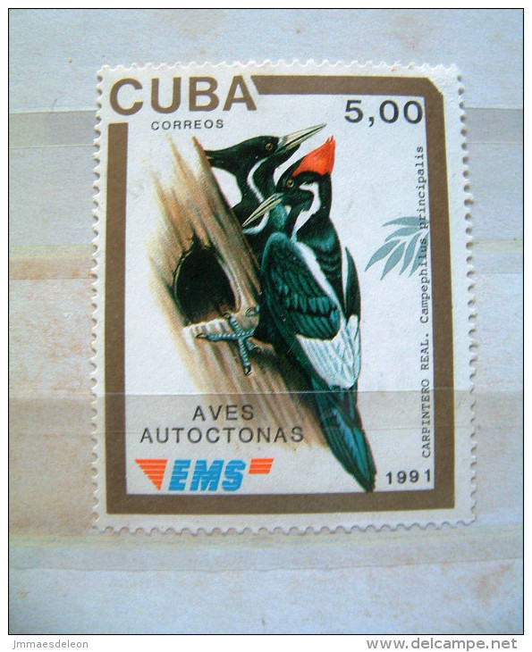 Cuba 1991 - EMS - Bird Woorpecker - Michel #3497 = 5 Euros - Used But Not Cancelled - Usati