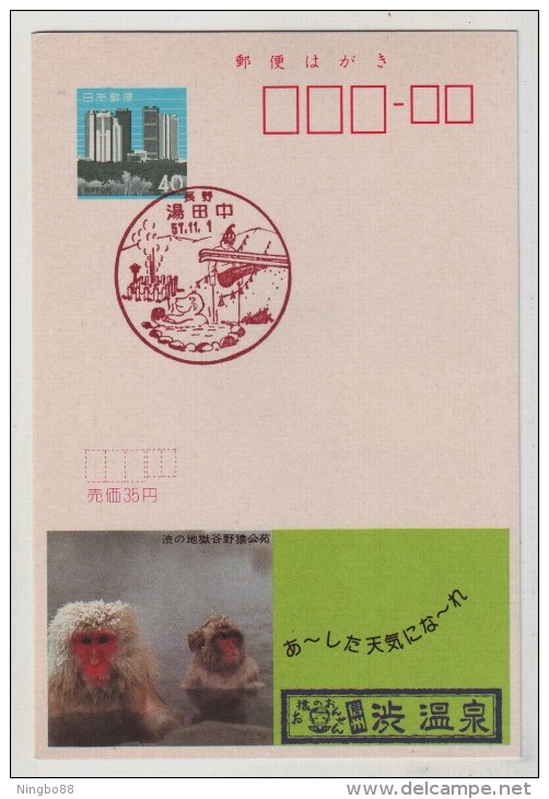 Japanese Macaque Monkey In Hot Spring Bathing,Japan 1982 Jigokudani Yaen-koen Advertising Pre-stamped Card - Monkeys