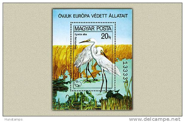 Hungary 1980. Animals - Birds (waterbirds) Sheet MNH (**) Michel: Bl. 146. / 5 EUR - Ongebruikt