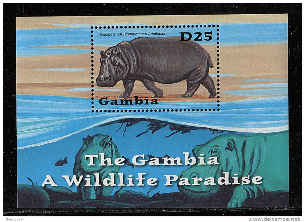 (cl.11 - P.10) Gambie ** Michel Bloc N° 564 (ref. Michel Au Dos) - L'hippopotame - - Gambie (1965-...)