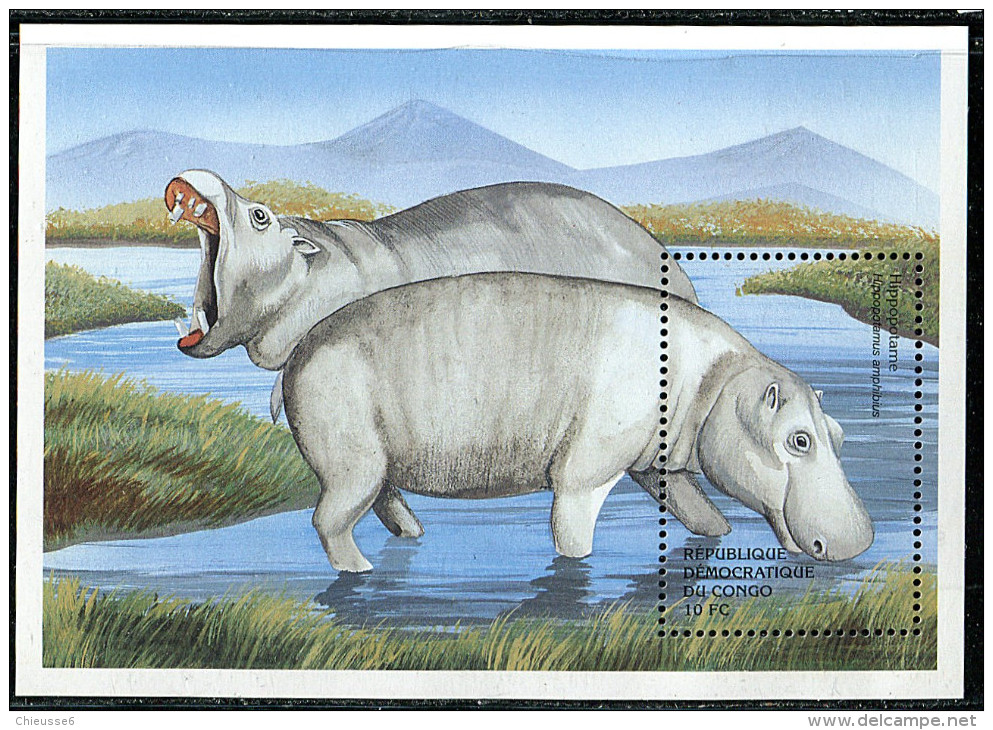 (cl.11 - P.13) Congo ** Bloc N° 66E (ref. Michel Au Dos) - Hippopotames - - Afgestempeld