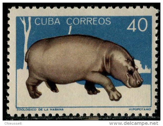 (cl.11 - P.13) Cuba ** N° 780A (ref. Michel Au Dos) - Hippopotames - - Oblitérés