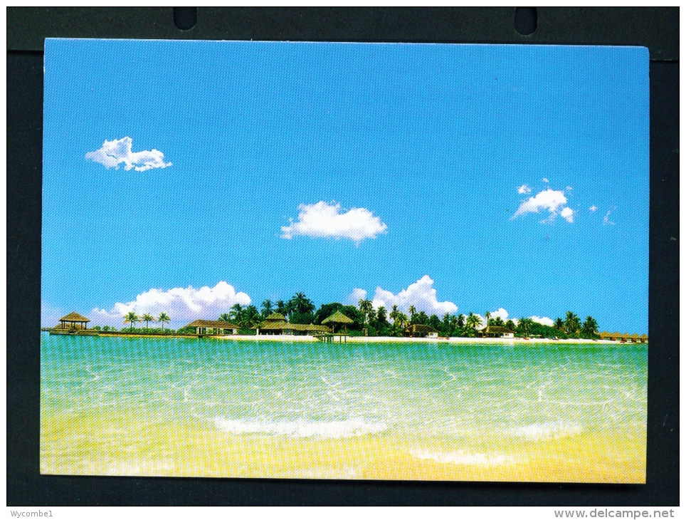 MALDIVES  -  Unused And Uncaptioned Postcard As Scan - Maldives