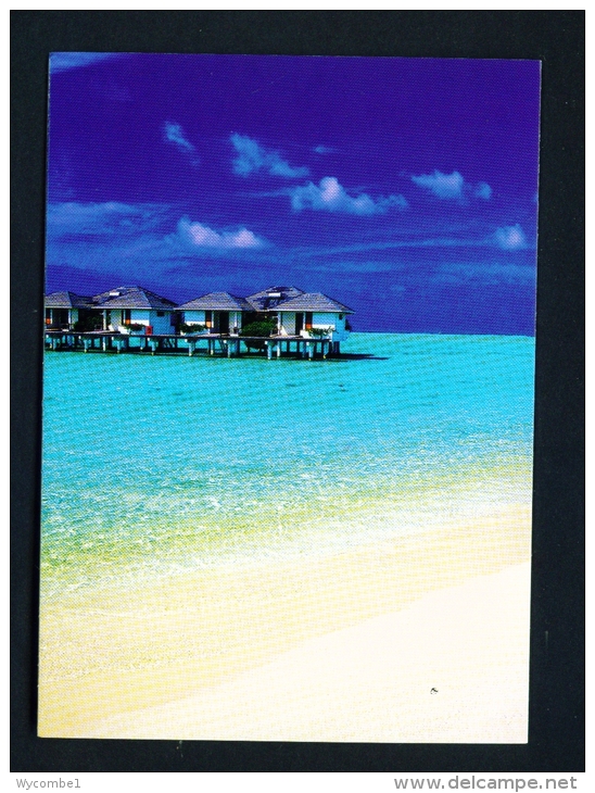 MALDIVES  -  Unused And Uncaptioned Postcard As Scan - Maldive