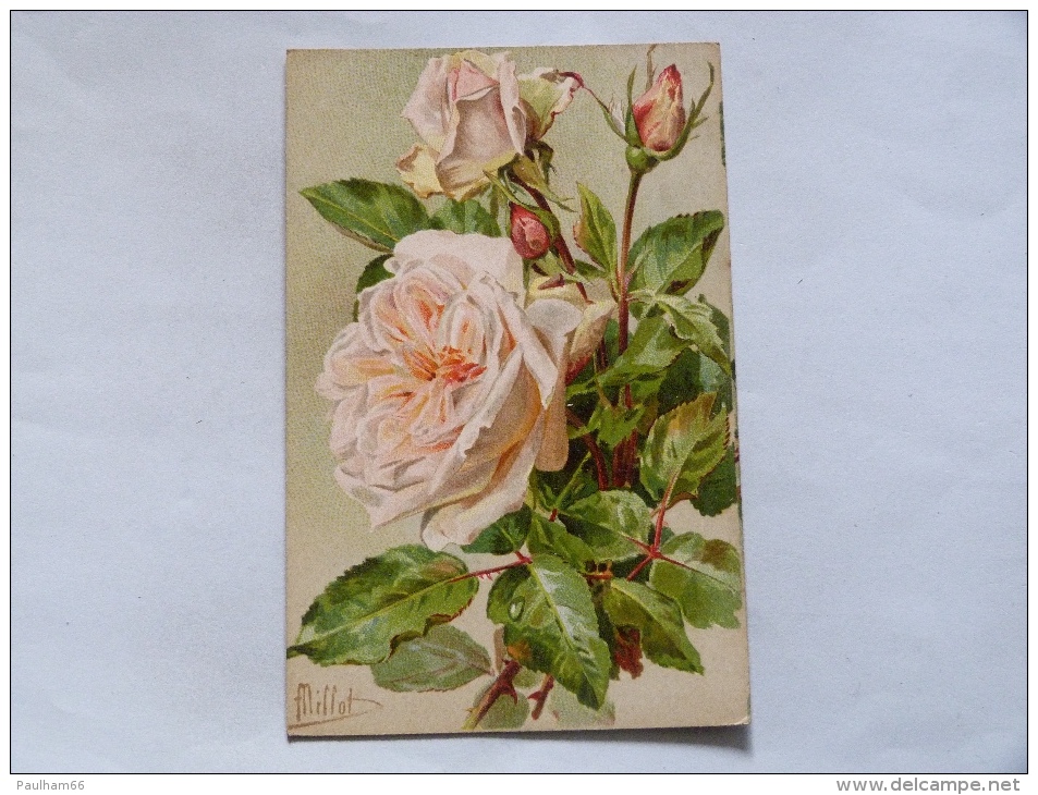 FLEURS   ILLUSTRATEUR  MILLOT  :  SOUVENIR DU PRESIDENT CARNOT - Fleurs