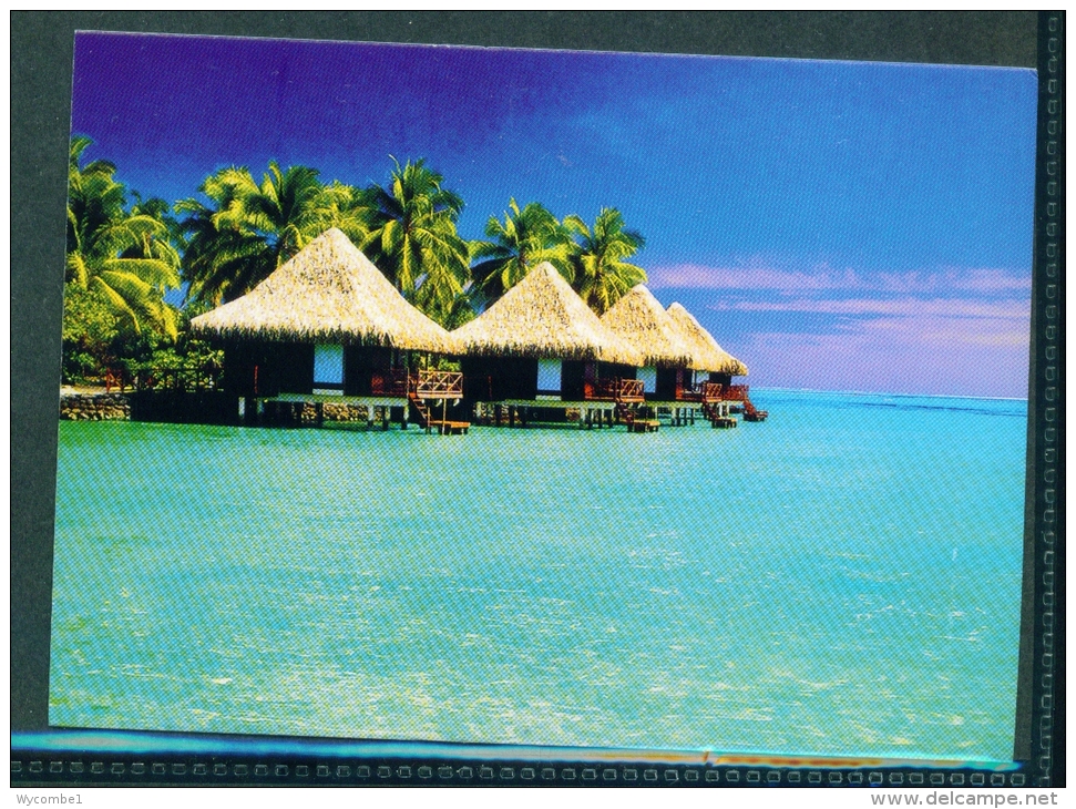 MALDIVES  -  Unused And Uncaptioned Postcard As Scan - Maldives